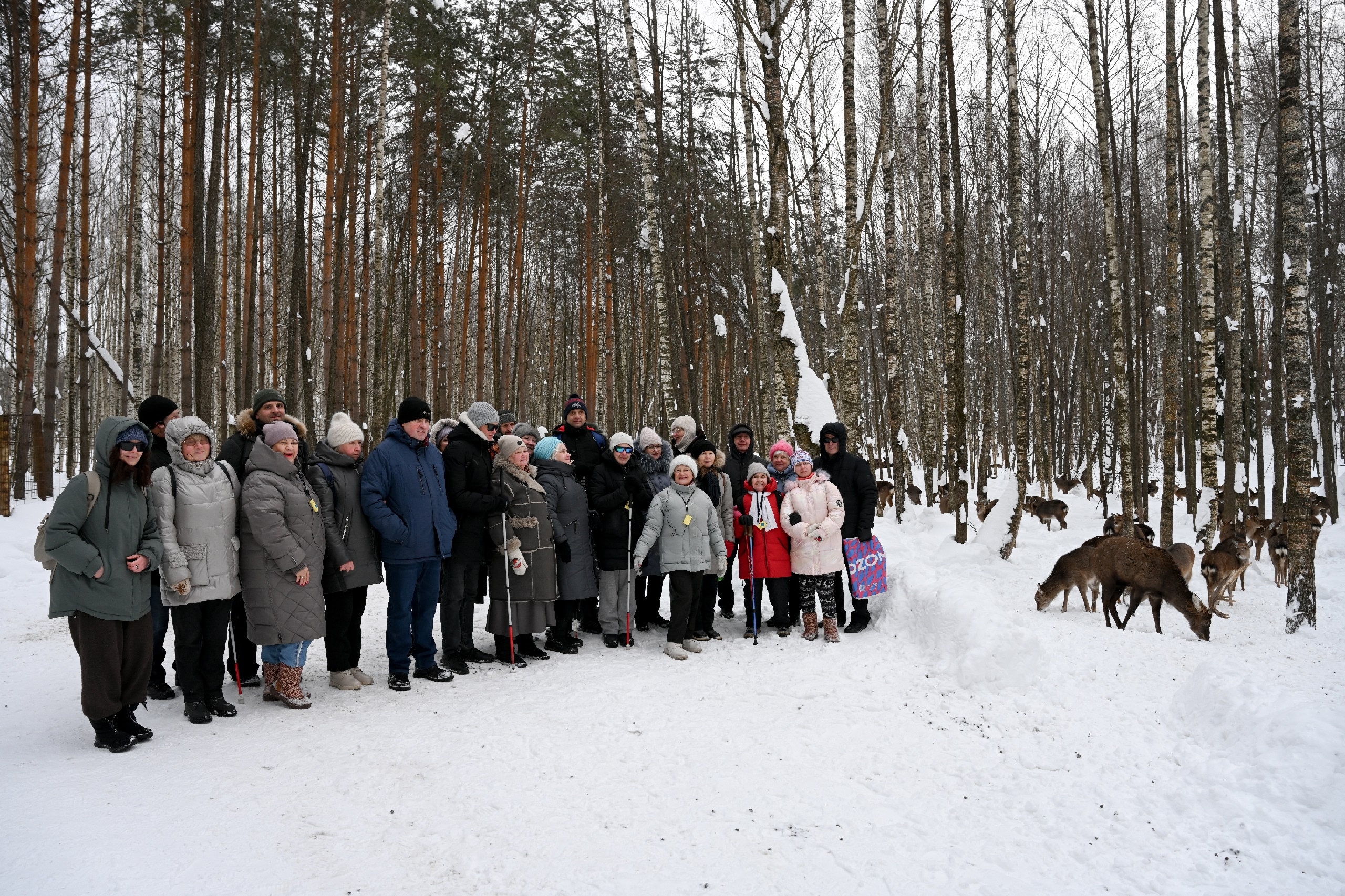 участники проекта «ПЛОТ — территория активных»